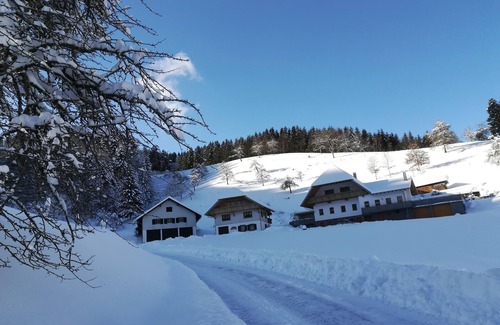 Oberharmersbach Apartamento | Apartamento 'Stinneshof' con terraza compartida, jardín compartido y Wi-Fi