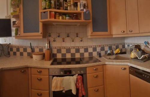 Schildlehen Apartamento | Apartment Tauernblick