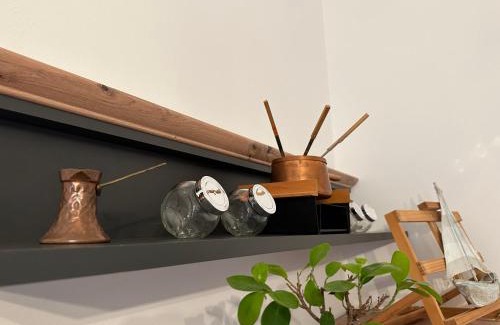 Rijeka Apartamento | Apartment VidRi