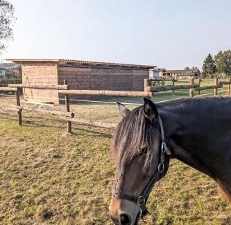 Castell'Alfero Apartamento | Apartment Viola by Interhome