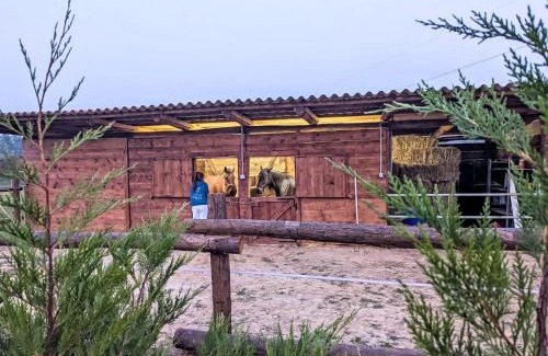 Castell'Alfero Apartamento | Apartment Viola by Interhome