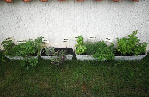 Funtana Apartamento | Apartment Viti with garden and barbecue