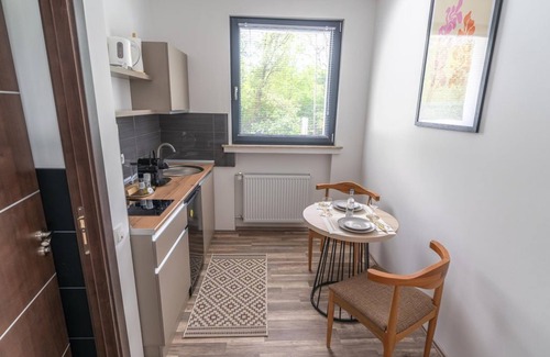 Willroth Apartamento | Apartment with 1 bedroom (NR.9) - Colakation GmbH