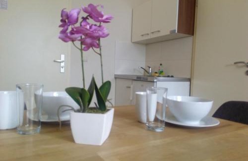 Innenstadt Apartamento | Apartmentpension am Stadtschloss