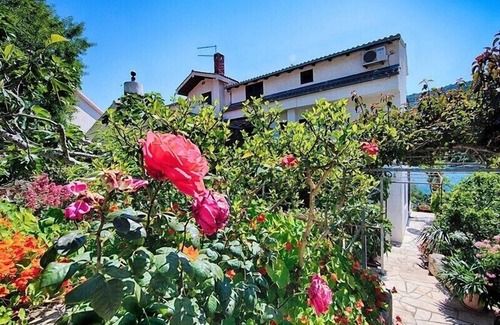 Pasadur Apartamento | Apartamentos Adela, (2310), Pasadur, Isla de Lastovo, Croacia