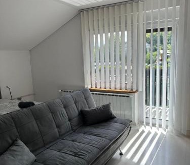 Ljutomer Apartamento | Apartments and Wellness Ščavničar