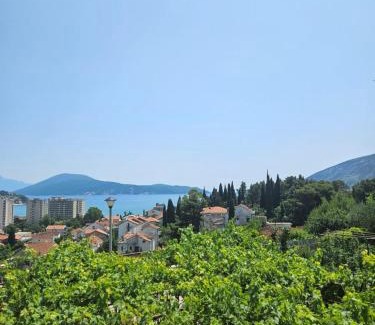 Igalo Apartamento | Apartments Božović