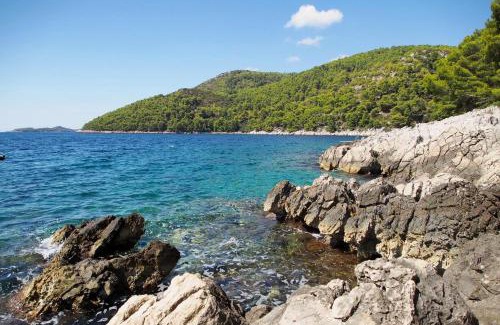 Brna Apartamento | Apartments by the sea Brna, Korcula - 4468