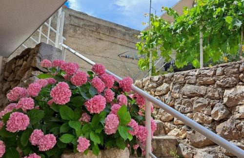 Igrane Apartamento | Apartments by the sea Igrane, Makarska - 21577