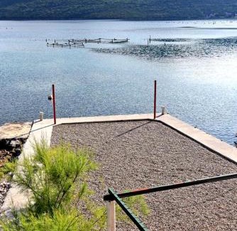 Putnikovic Apartamento | Apartments by the sea Zuronja, Peljesac - 12020