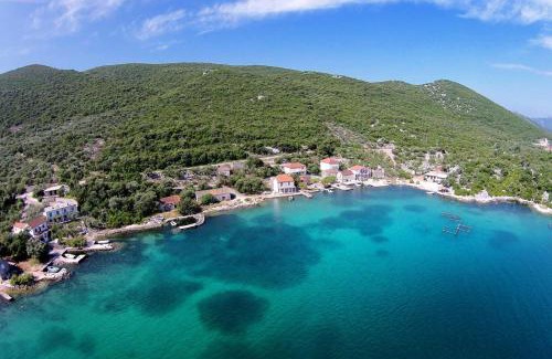 Putnikovic Apartamento | Apartments by the sea Zuronja, Peljesac - 12020