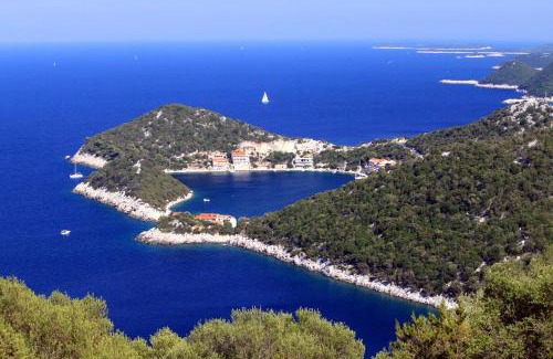 Zaklopatica Apartamento | Apartments by the sea Zaklopatica, Lastovo - 8393
