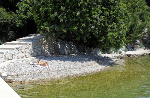 Zaton Apartamento | Apartments by the sea Zaton Mali (Dubrovnik) - 12120