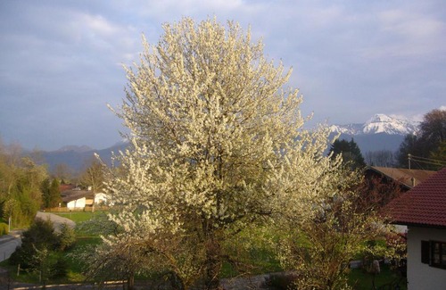 Uebersee Apartamento | Apartments Donebauer