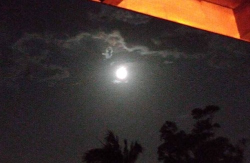 Porto da Lagoa Apartamento | Apartamentos para hasta 4 personas en Porto da Lagoa