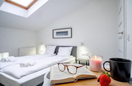 Stare Miasto Apartamento | Apartments Floriańska 24