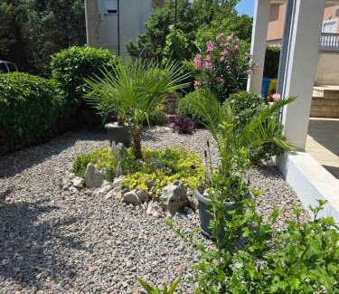 Jadranovo Apartamento | Apartments Knežević