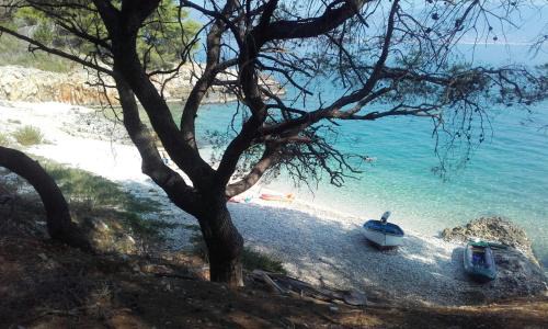 Slatine Apartamento | Apartments Ljilja sea view