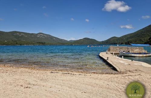 Ston Apartamento | Apartments Maslina