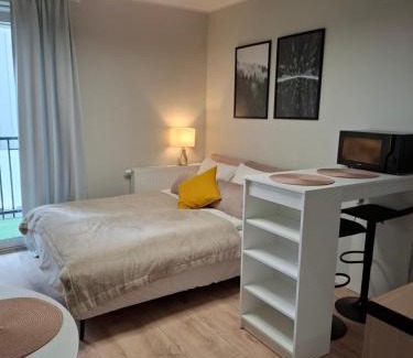 Nowe Miasto Apartamento | Apartments Poznań City lux