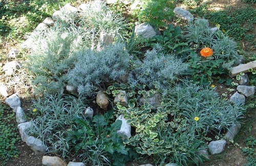 Zivogosce Apartamento | Apartments Tiho (102681-A2) - Zivogosce