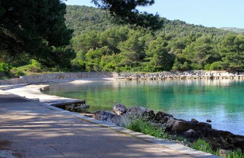 Dol Apartamento | Apartments with parking spaces Dol, Hvar - 24122