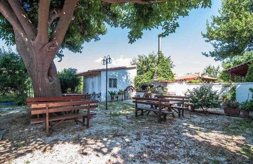 Velika Apartamento | Apartments Xara