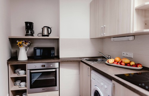 Brno-stred Apartamento | Apartments Zelny Trh III