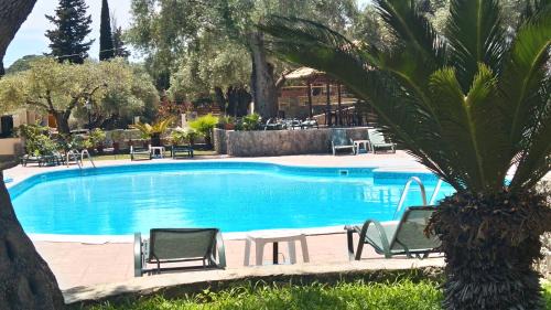 Paleokastritsa Apartamento | Aphrodite Studios & Pool