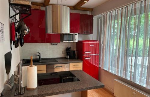 Hohegeiß Apartamento | App 622 Panoramic Hohegeiß mit WLan Terrassenhaus