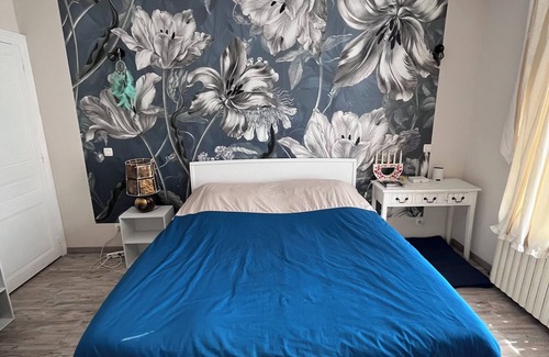 Vigneulles-les-Hattonchatel Cama Y Desayuno | Appartement de Plein Pieds Dans une Maison de Maître Piscine Jacuzzi Extérieur