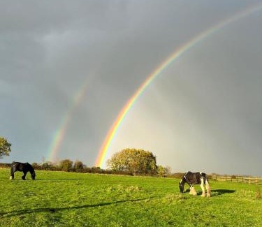 Kilnwick Apartamento | Appaloosa suite with amazing views of stud farm.