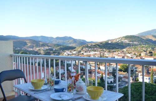Banyuls-sur-Mer Apartamento | Appart Studio cabine 4 couchages BANYULS SUR MER BN130-C117