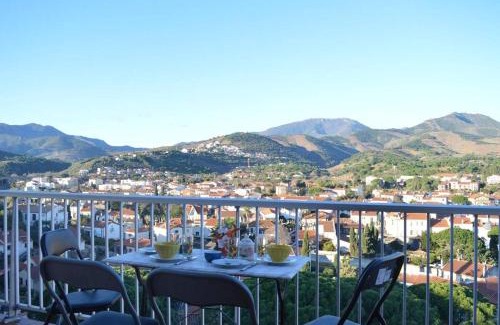 Banyuls-sur-Mer Apartamento | Appart Studio cabine 4 couchages BANYULS SUR MER BN130-C117