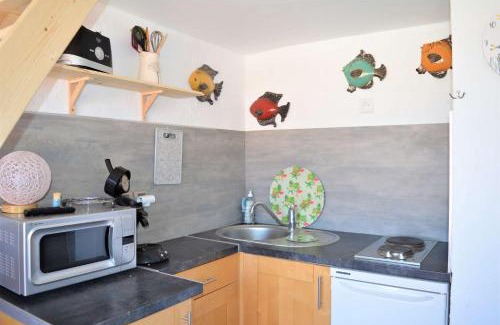 Leucate Apartamento | Appart Studio Mezzanine 2 couchages PORT LEUCATE NATURISME PL010-832