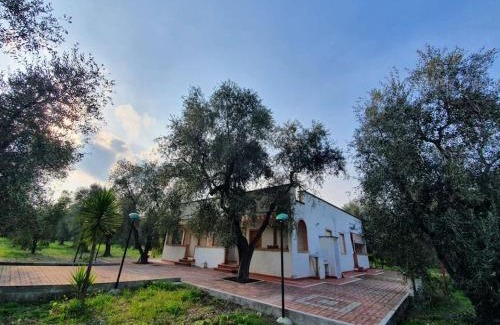 Montincello Apartamento | Appartamenti Anna Maria