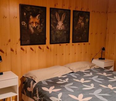 Predazzo Apartamento | Appartamento Arcade