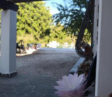 Dorgali Apartamento | appartamento in Villa