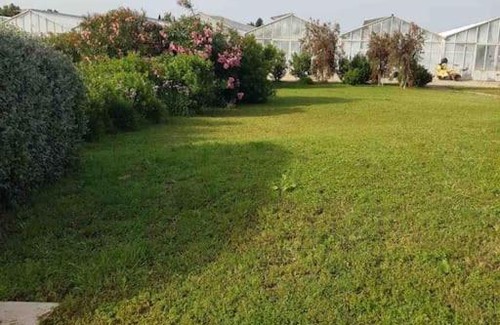 Villaspeciosa Apartamento | Appartamento indipend. vicino Aeroporto Ca/ Elmas