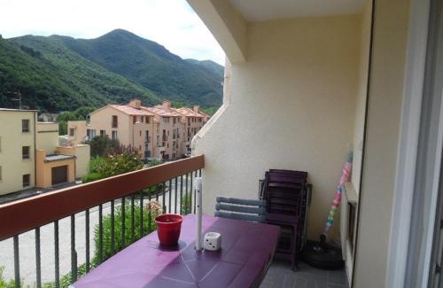 Amelie-les-Bains-Palalda Apartamento | Appartement F2 avec balcon et parking à Amélie-les-Bains, idéal pour 4 personnes - FR-1-703-78