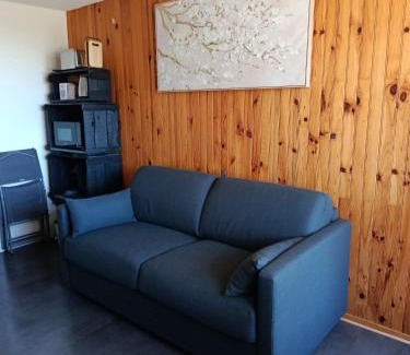 Besse-et-Saint-Anastaise Apartamento | Appartement situé en plein centre à deux pas des pistes.