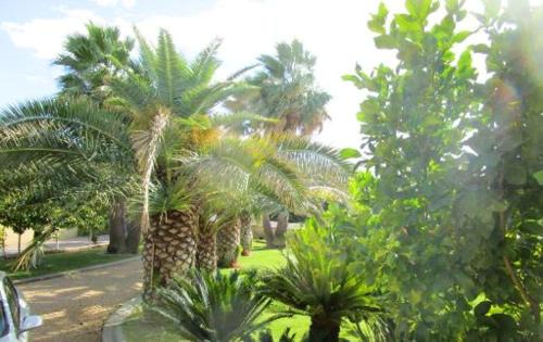 Vias Apartamento | Appartement élégant à Vias avec balcon et jardin