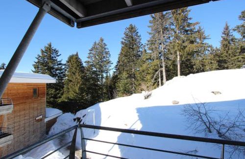 Chamrousse Apartamento | Appartement 2 pièces 4 places proche pistes, animaux admis - FR-1-549-98