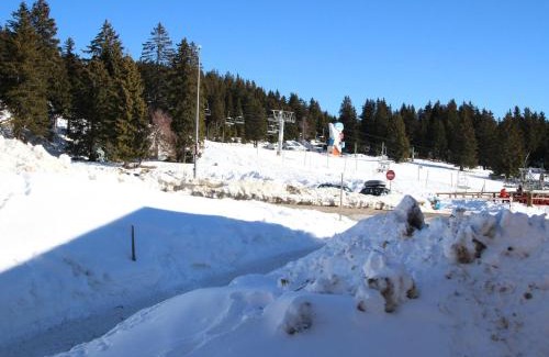 Chamrousse Apartamento | Appartement 2 pièces 4 places proche pistes, animaux admis - FR-1-549-98