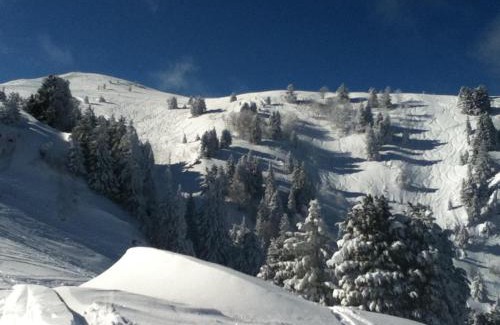 Chamrousse Apartamento | Appartement 2 pièces 4 places proche pistes, animaux admis - FR-1-549-98