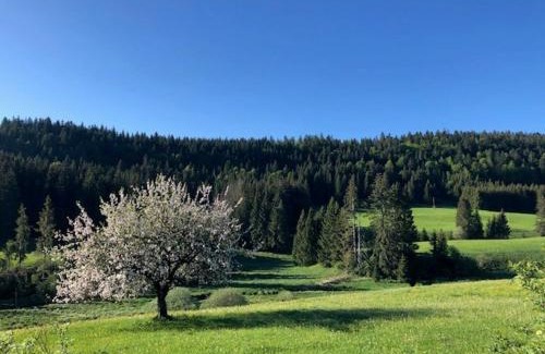 Petite-Chaux Apartamento | Appartement 6/8 personnes