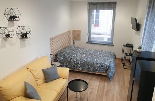 Raon-l'Etape Apartamento | Appartement agréable en plein cœur de ville