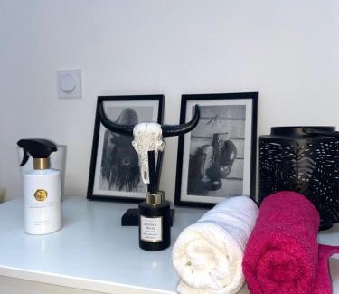 Valbenoite - Le Bernay - Valfuret Apartamento | Appartement cosy à Saint Étienne