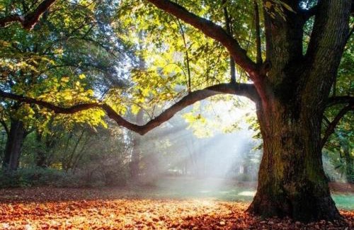 Ainay-le-Chateau Apartamento | Appartement cosy 70 m2 tout confort 4 personnes