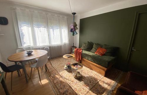 Up 1.5 Saint-Ferreol Apartamento | Appartement cosy